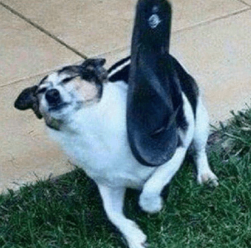 test free credit